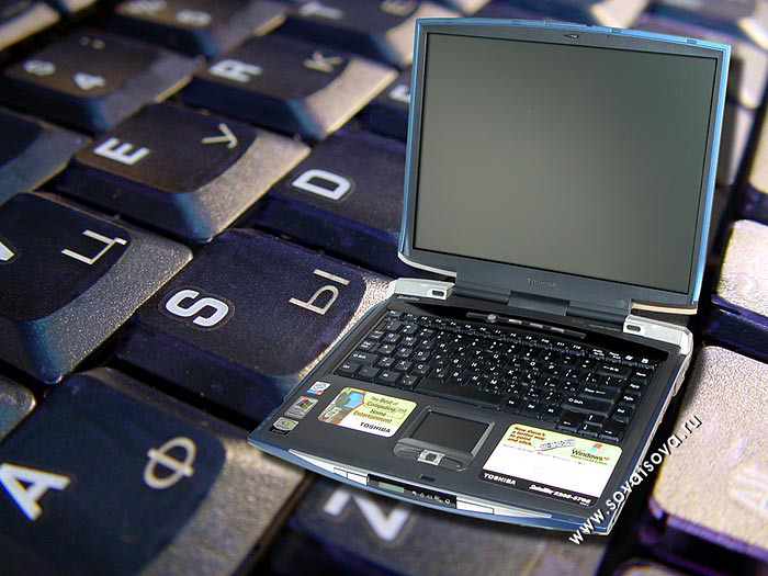 toshiba1 - (ٸ������, ����� ������� ����)